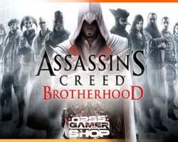Assassins Creed Brotherhood