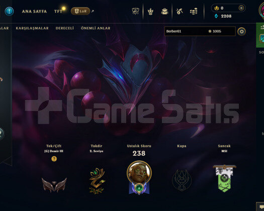 LAS 100 LEVEL DEMİR HANDAMDE 27 SKİNLİ MAİLLİHESAP