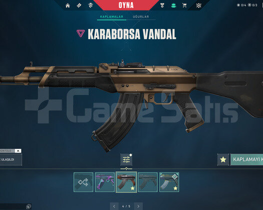 RGX KATANALI TADINDA MAİNLEMELİK BÜTÇE DOSTU ACC!