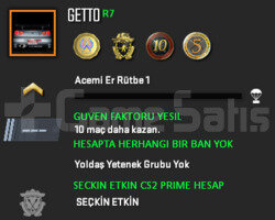 CS2 Prime | 4 Madalya | Yeşil Faktör + Garanti