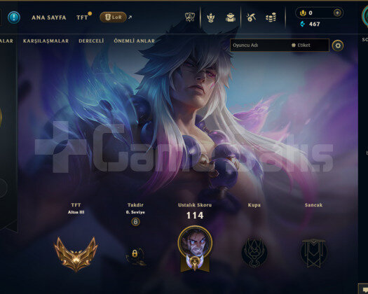 EUW 59 LEVEL HANDMADE 6 SKİNLİ MAİLLİ FRESH HESAP!