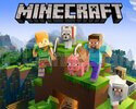 MINECRAFT tüm bilgileri değişen hesap