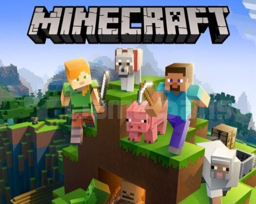 MINECRAFT tüm bilgileri değişen hesap