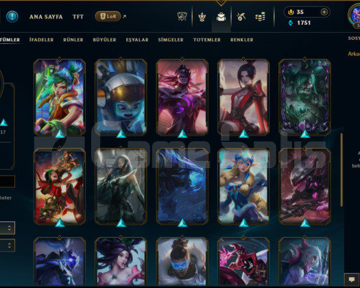 master peak dia hesap