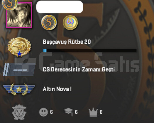 2 MADALYALI DOLU OYUNLU STEAM HESABI