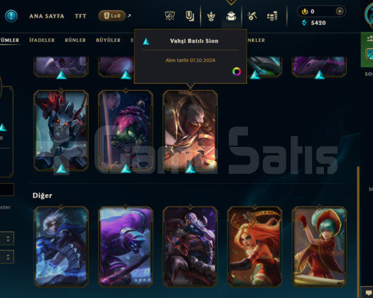TR 63 LEVEL HANDMADE DEMİR 14 SKİNLİ MAİLLİ HESAP!