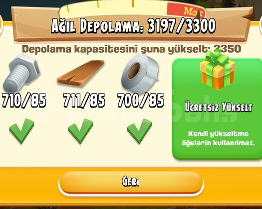 46 LVL 93 MİLYONLUK ALTIN HESABI