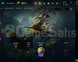 EUW Unranked | 14 Kostüm - 67 Hero | LoL Hesap