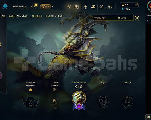EUW Unranked | 14 Kostüm - 67 Hero | LoL Hesap