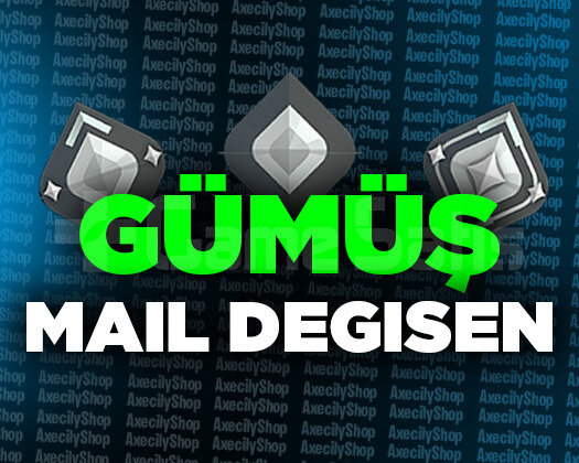 GÜMÜŞ - MAİL DEĞİŞEN / GARANTİ + DESTEK