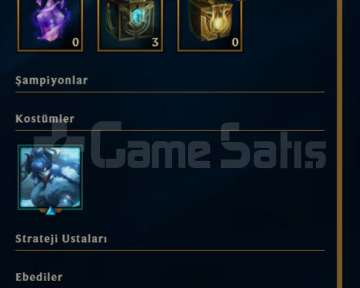 2020 KURULUM / 31 LEVEL / UNRANKED