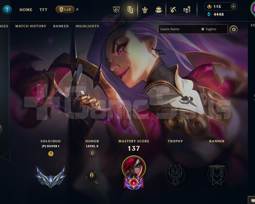 EUW 81 LEVEL - 40 HERO 24 KOSTÜM HANDMADE HESAP