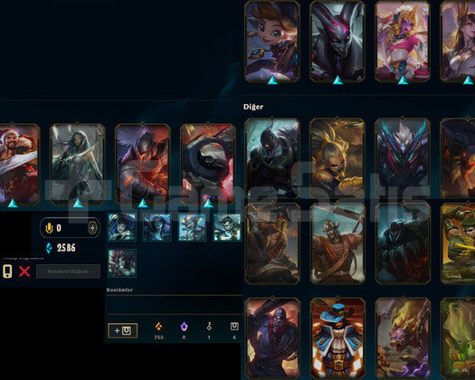 DEMİR 4 FUN ACC |  94ŞAMP 24 SKİN