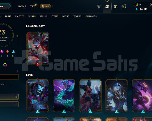 EUW 164 LEVEL - 68 HERO 23 KOSTÜM HANDMADE HESAP