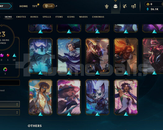EUW 164 LEVEL - 68 HERO 23 KOSTÜM HANDMADE HESAP