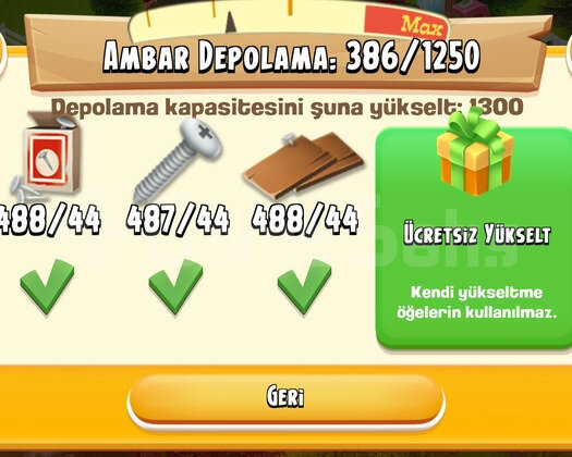 43 LVL 55 MİLYONLUK ALTİN HESABİ