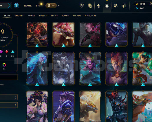EUW 114 LEVEL -80 HERO 69 KOSTÜM HANDMADE HESAP