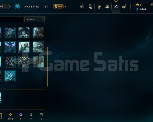 TR FLEX DİA 3 / SOLOQ ZÜMRÜT 2