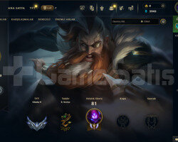 EUW 30 LEVEL HANDMADE  SKİNLİ MAİLLİ FRESH HESAP!