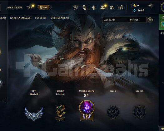 EUW 30 LEVEL HANDMADE  SKİNLİ MAİLLİ FRESH HESAP!