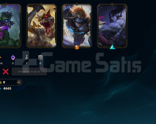 DEMİR-BRONZ MMR FUN ACC 24ŞAMP 4 SKİN