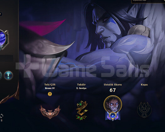 DEMİR-BRONZ MMR FUN ACC 24ŞAMP 4 SKİN