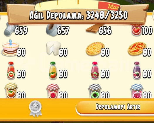 80 LVL 3250 DEPOLU İÇİ ÜRÜN AGİL DOLU OYUN