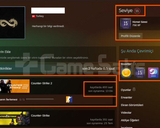 SEÇKİN! 6 MADALYALI EFSANE CS2 STEAM HESAP