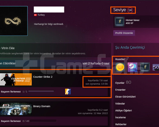 SEÇKİN! 3 MADALYALI 20.000 TL OYUNLU STEAM HESAP
