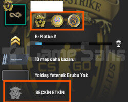 SEÇKİN! 3 MADALYALI 20.000 TL OYUNLU STEAM HESAP