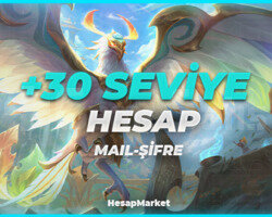 +30 SEVİYE MAİL ŞİFRE OLARAK TESLİM EDİLİR