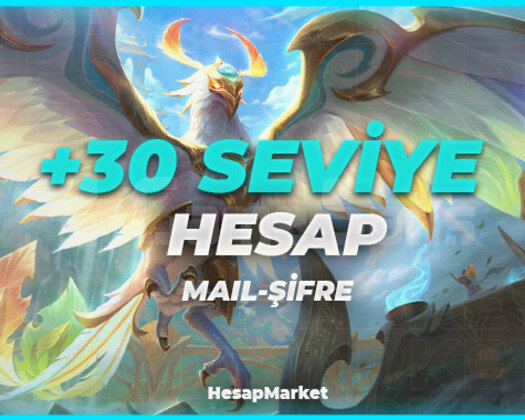 +30 SEVİYE MAİL ŞİFRE OLARAK TESLİM EDİLİR