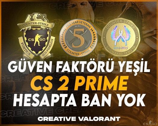 CS2 Seçkin | 3 Madalya | Faceit Hazır + Garantili