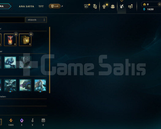 TR BRONZ 1 S12 HESABI GANİMETİ DOLU