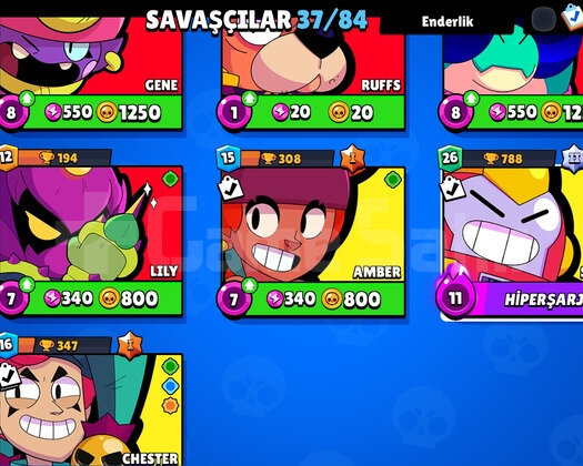 5200 kupa hesap