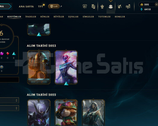 TR DEMİR 1 HANDMADE 6 KOSTÜM