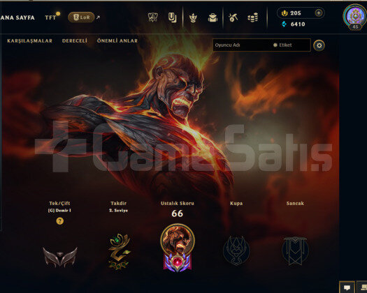 TR DEMİR 1 HANDMADE 6 KOSTÜM
