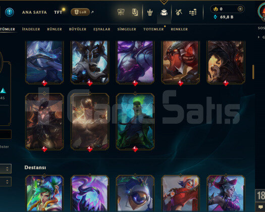 262 LEVEL / 121 SKİN / FUL HERO + MAİL +5000 SATIŞ