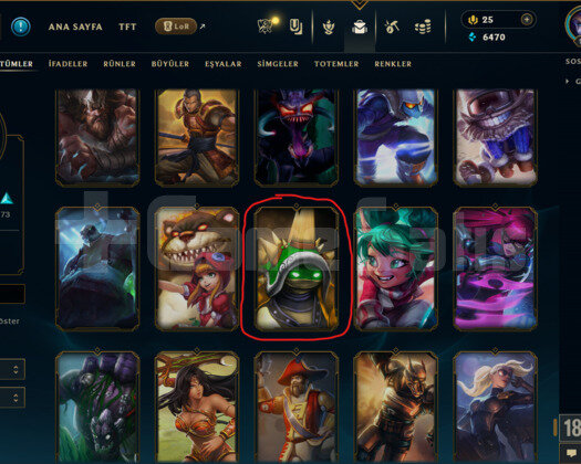 KİNG RAMMUS / 179 SKİN / FUL HERO MAİL +5000 SATIŞ