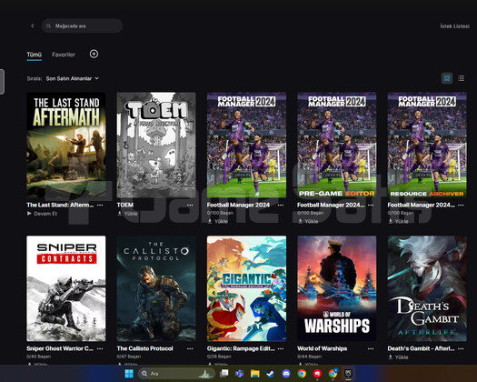 football menajerli epic games hesabı -garanti