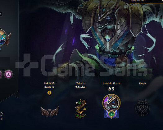 DEMIR IV FUN ACC | 24ŞAMP 2SKİN