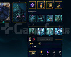 DEMIR IV FUN ACC | 24ŞAMP 2SKİN