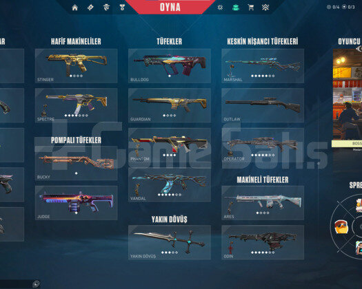 71 skinli valorant hesap