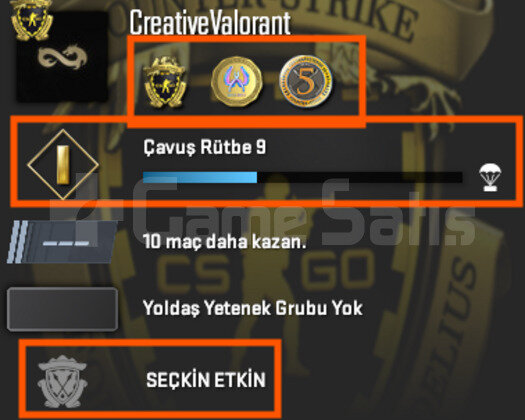 SEÇKİN ETKİN / 3 MADALYALI / FACEİT-ESEA HAZIR