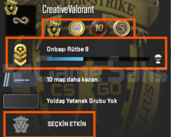 SEÇKİN ETKİN / 4 MADALYALI / FACEİT-ESEA HAZIR