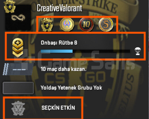 SEÇKİN ETKİN / 4 MADALYALI / FACEİT-ESEA HAZIR