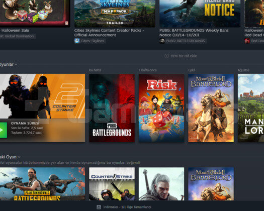 TEMİZ STEAM HESABI