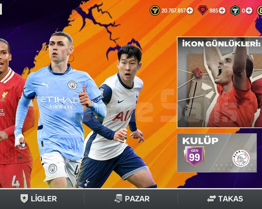 BEYLER OYUNU BIRAKIYORUM O YÜZDEN SATLIK