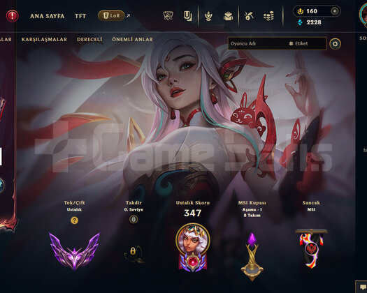 EUW ÖMÜRLÜK LOL TFT VALO HESABI