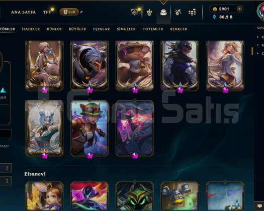 EUW / 368 LEVEL / 440 SKİN / FUL HERO +5.9K RPLİ